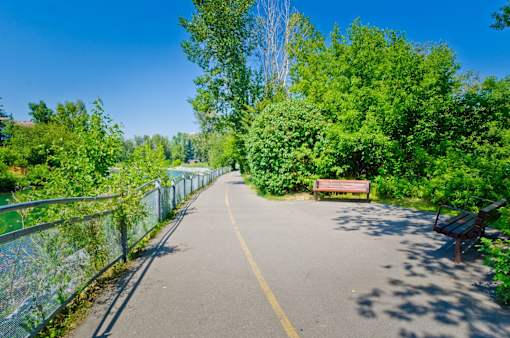 A paved path with a bench and trees on the side.