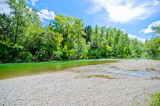 A river flows through a forest with a rocky shore.