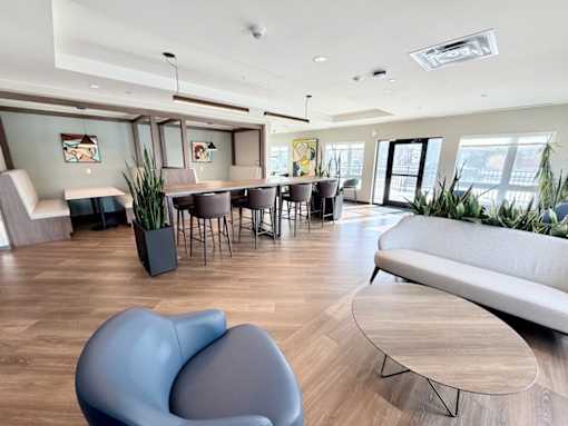 A modern living room with a grey sofa and a round chair.