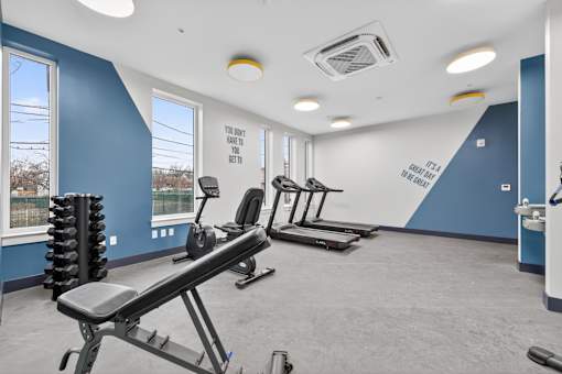 A gym with a row of treadmills and a weight rack.