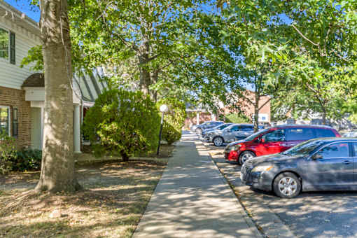 A row of cars parked on a sunny street.
