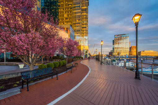 a city waterfront promenade with benches and trees with buildings in the background