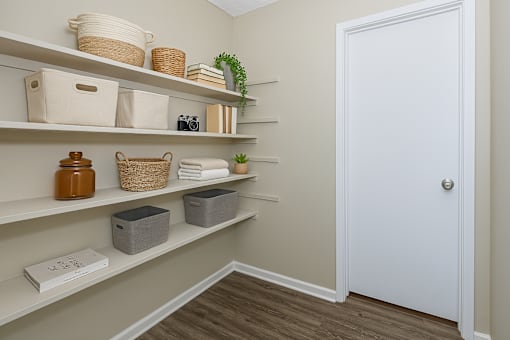 A hallway with shelves and a door.