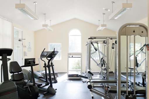 a gym with cardio machines and windows