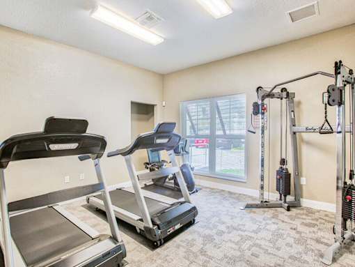 A home gym with treadmills, a stationary bike, and a weight machine.