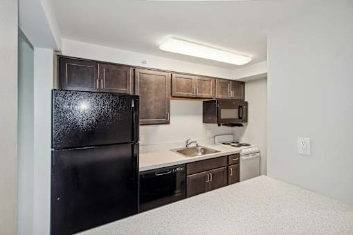 a kitchen with a black refrigerator and a sink