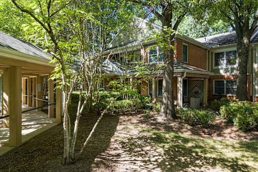the front yard of a house with trees and a pathway