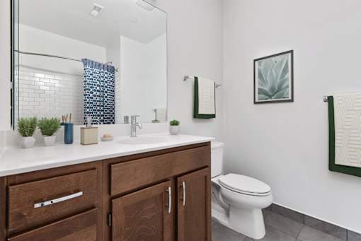 A bathroom with a white toilet, a sink with a mirror above it, and a plant on the counter.