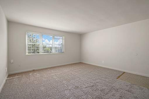 A room with a carpeted floor and a window.