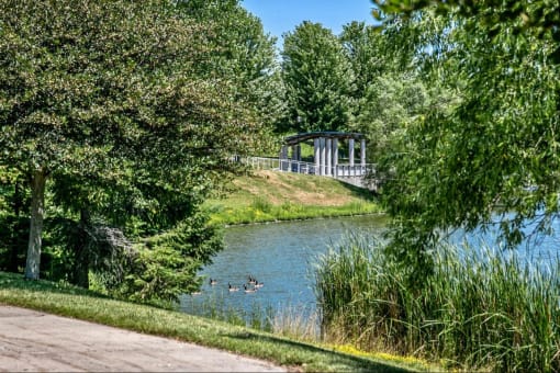 a bridge over a body of water with ducks in it