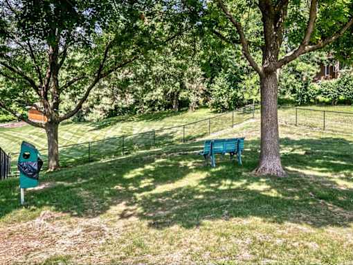 a park bench sitting next to a tree