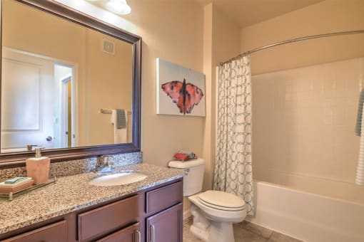 a bathroom with a shower toilet and sink and a mirror