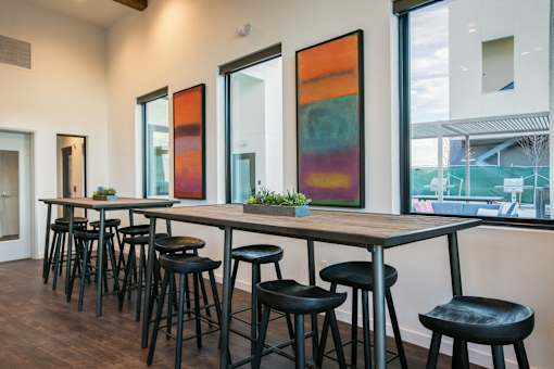 A long table with black chairs and a few potted plants.
