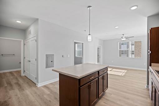 A kitchen with a counter and cabinets.