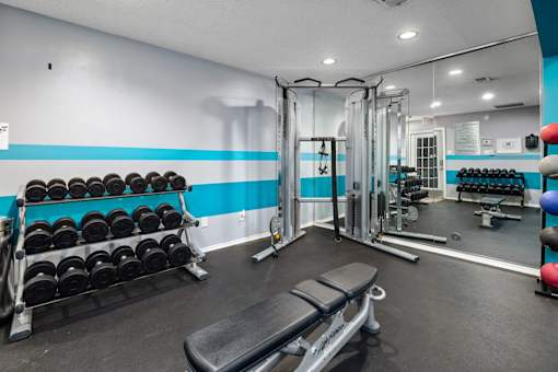 A gym with a bench, weights, and exercise equipment.