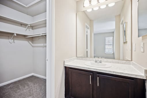 a bathroom with a sink and a mirror