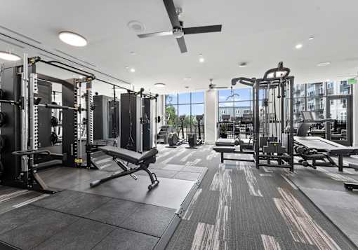 A gym with a variety of equipment including a squat rack, bench, and weight machines.