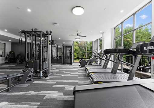 A gym with treadmills, weights, and a fan.