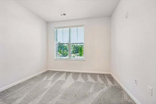A room with a carpeted floor and a window showing a view of trees.
