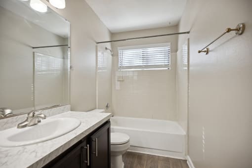 a bathroom with a sink and a shower and a toilet