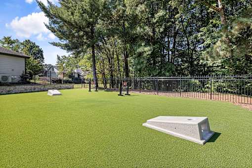 A dog park with a green surface and a few trees.