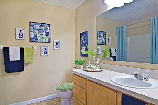 A bathroom with a toilet, sink, and a mirror.