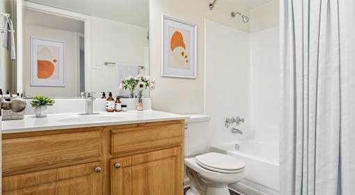A bathroom with a toilet, sink, and shower.