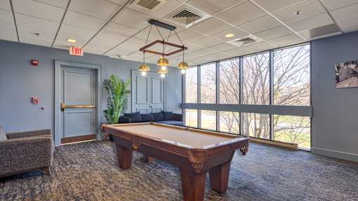 A pool table is in the middle of a room with a couch and a plant.