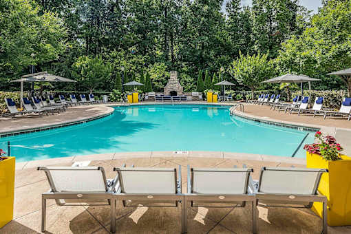 A pool surrounded by trees and lounge chairs.