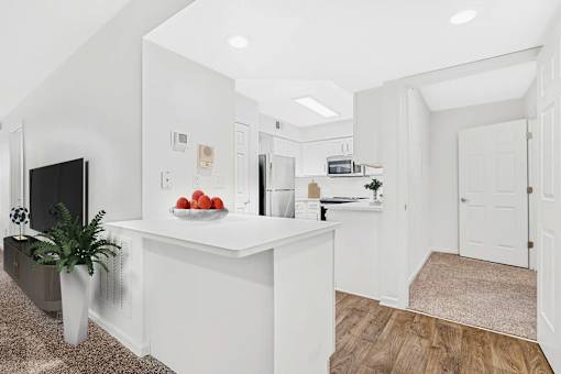 A white kitchen with a black TV and a plant on the left.