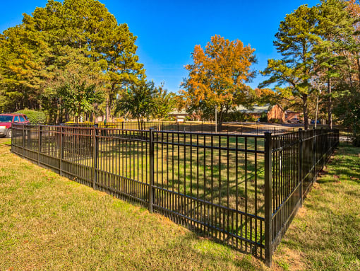 Dog_Park_Colonial_Pines_