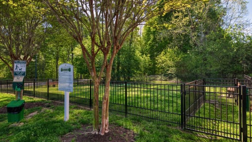 a tree in a park with a sign in front of it