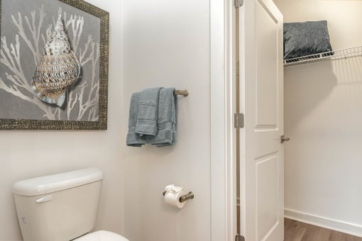 a bathroom with a toilet and a towel rack on the wall