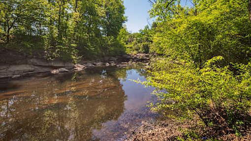 A serene river flows through a lush green forest.