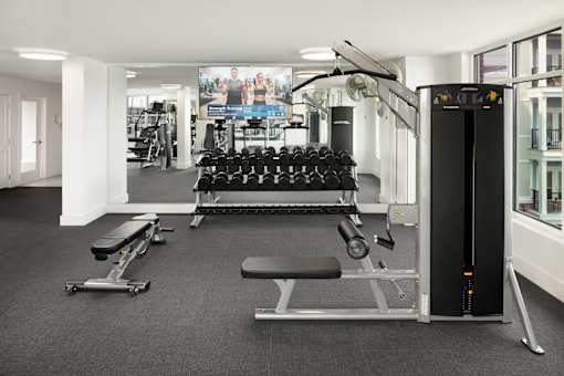 A gym with a row of dumbbells on a rack.