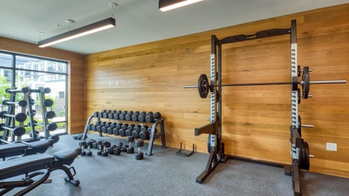 a gym with weights and a weights rack and a wall with a door at Ainsworth, Virginia