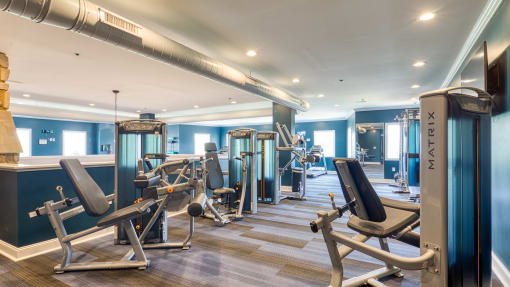 a gym with cardio machines and weights on a wooden floor