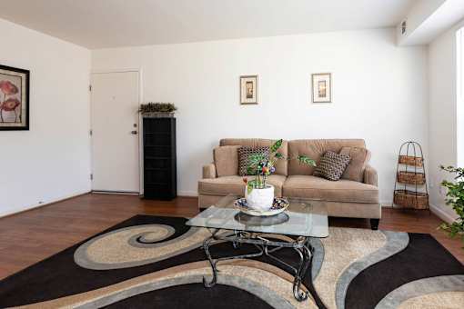 A living room with a couch, a coffee table, and a rug.