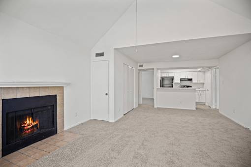 A living room with a fireplace and a television.