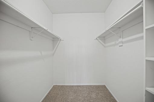 Empty white closet with shelves and carpeted floor.