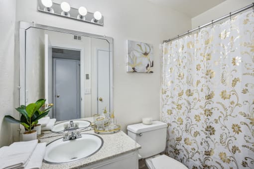 Bathroom at Montecito West in Raleigh, NC 27609