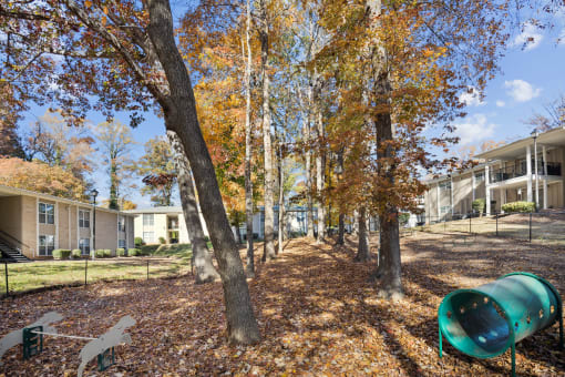 Outdoor Park at Montecito West in Raleigh, NC