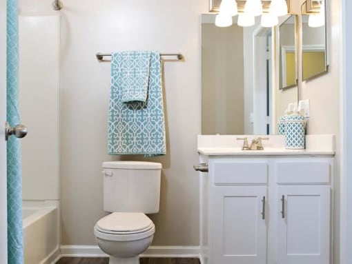 Bath at Northridge Crossing Apartments in Raleigh