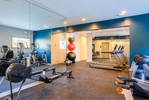 A gym with a row of exercise bikes and a treadmill.