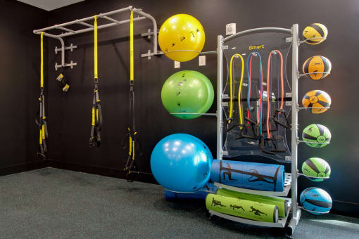 Fully Equipped Fitness Center at Shellbrook, North Carolina