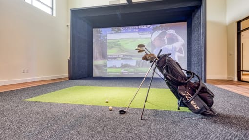 a golf club and balls on the carpet in front of a screen at Ainsworth, Richmond
