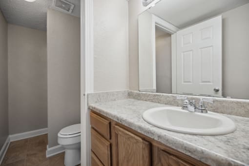a bathroom with a sink and a toilet and a mirror