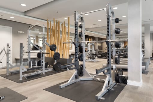 a gym with weights and dumbbells on the floor