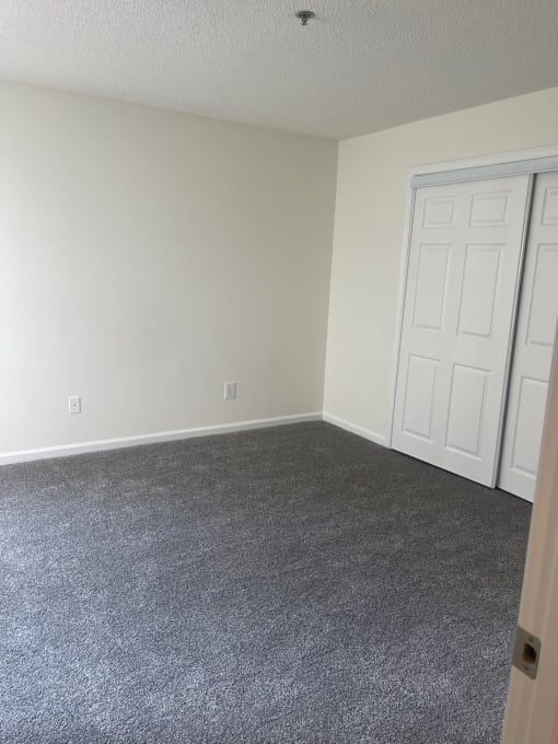 an empty room with a carpeted floor and white doors