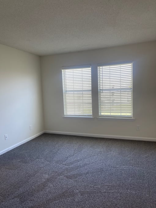 an empty living room with two windows and carpet